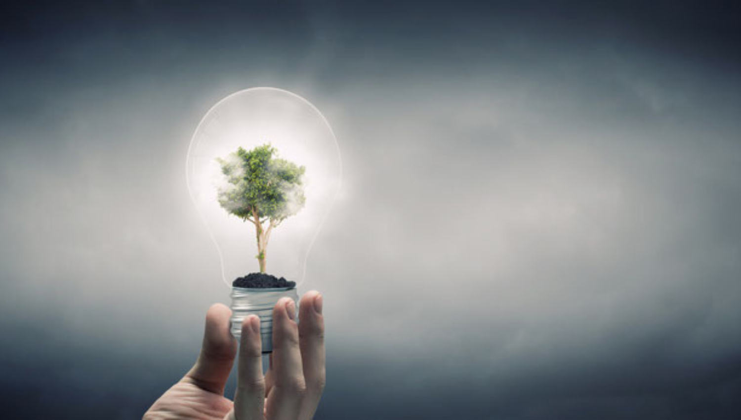 hangsterfers termékek megfelelnek a környezetvédelmi előírásoknak.